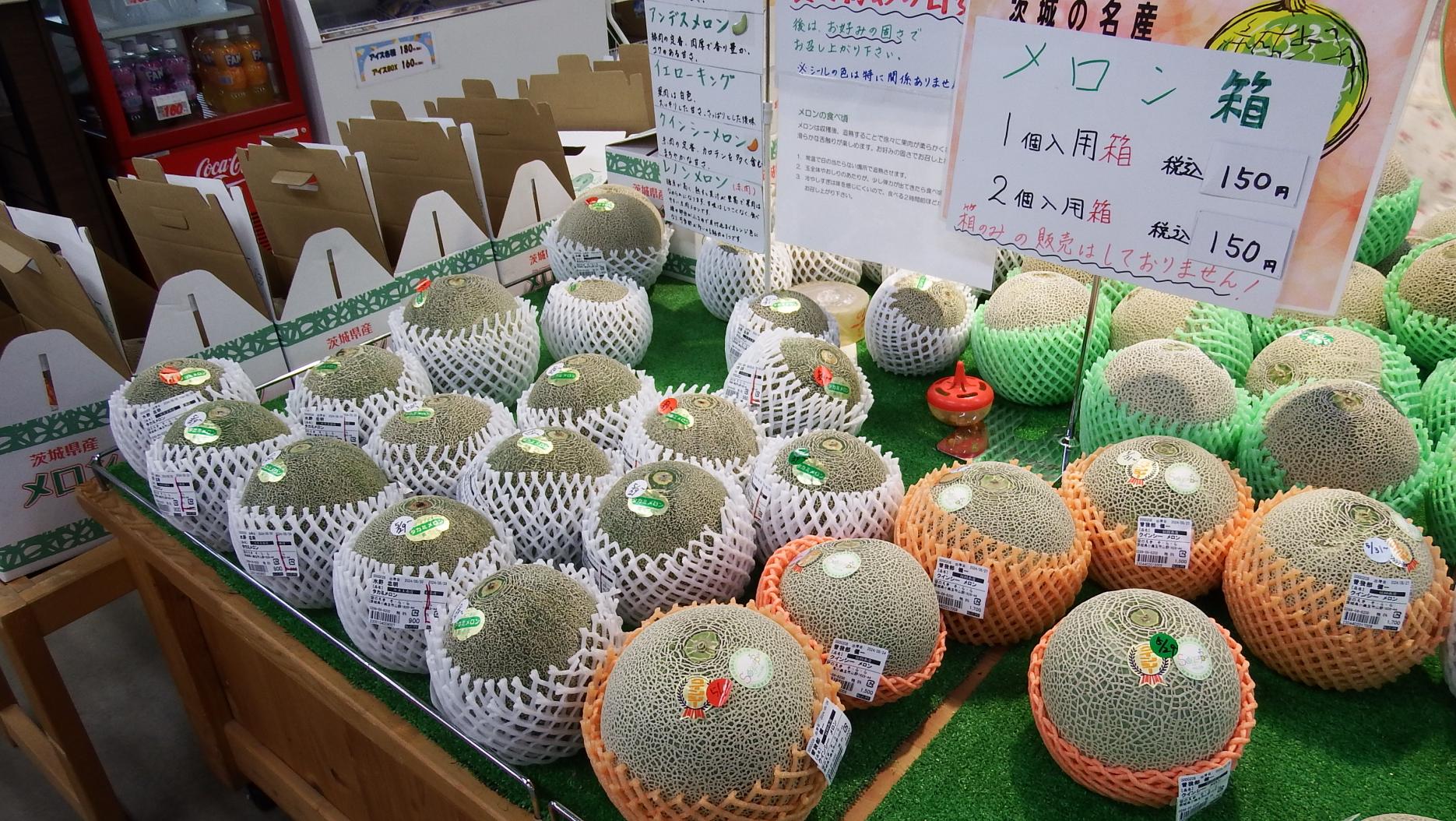 メロン写真