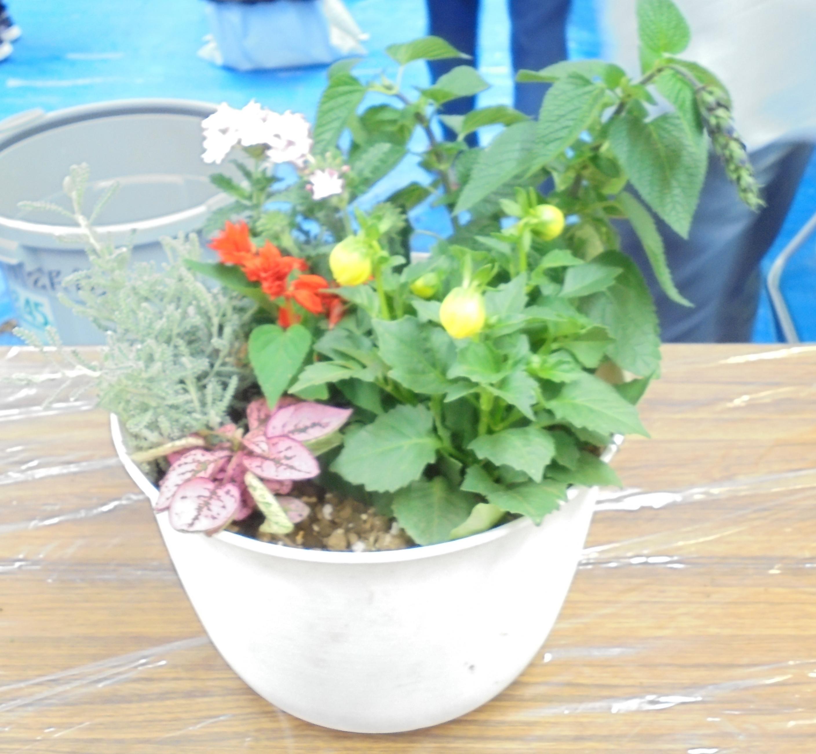 寄せ植え