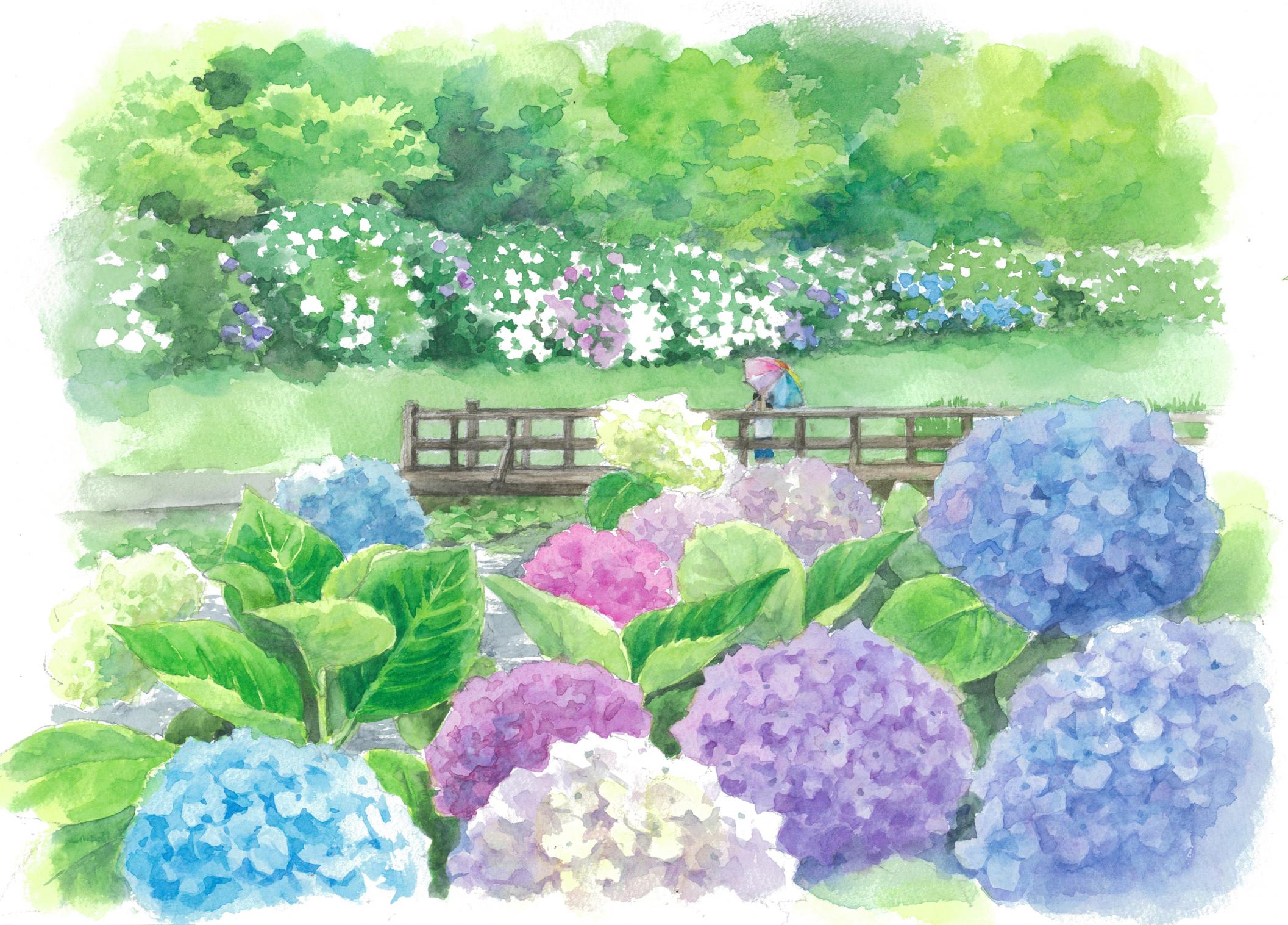 スケッチ画