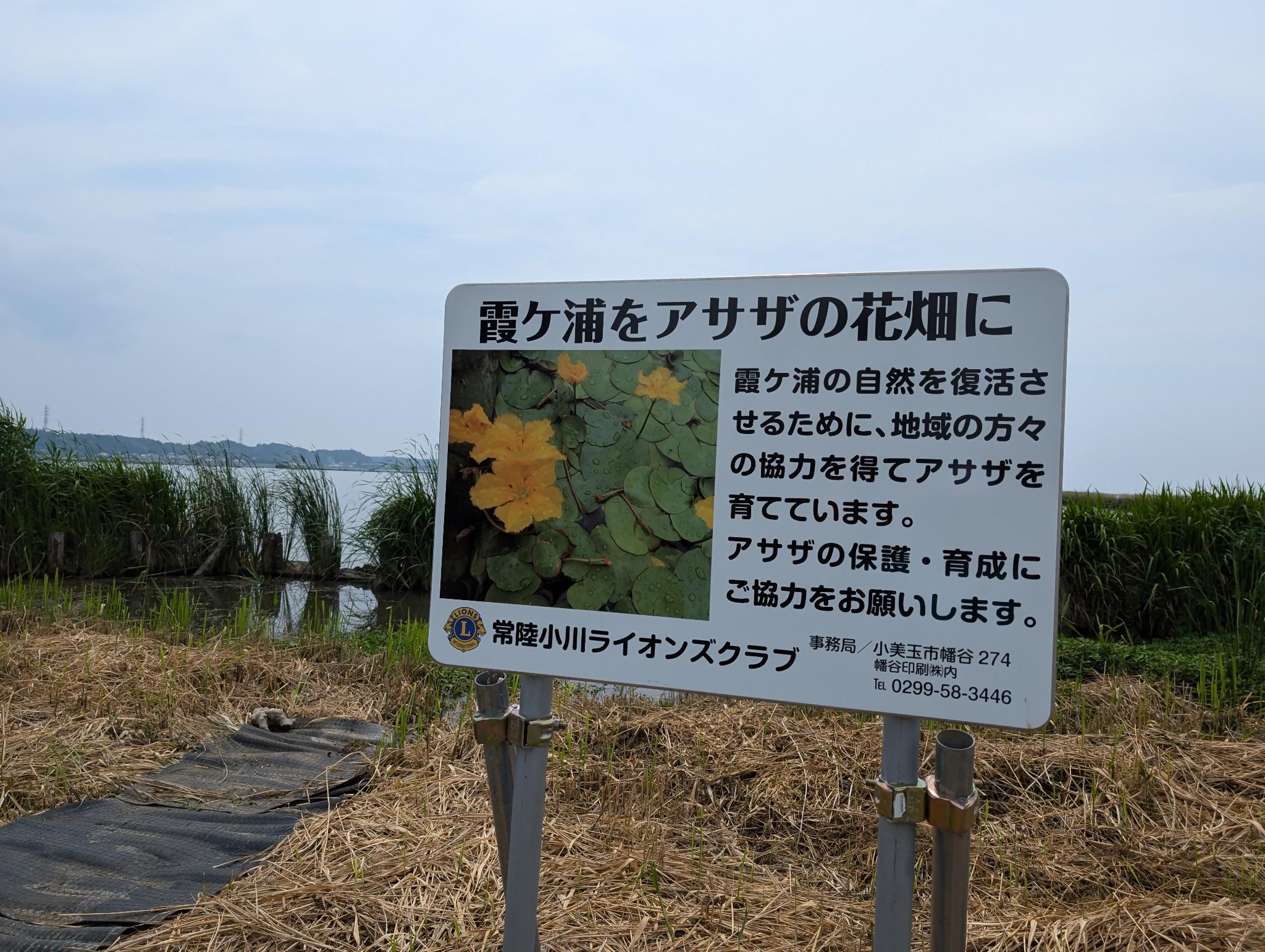 霞ケ浦掲示