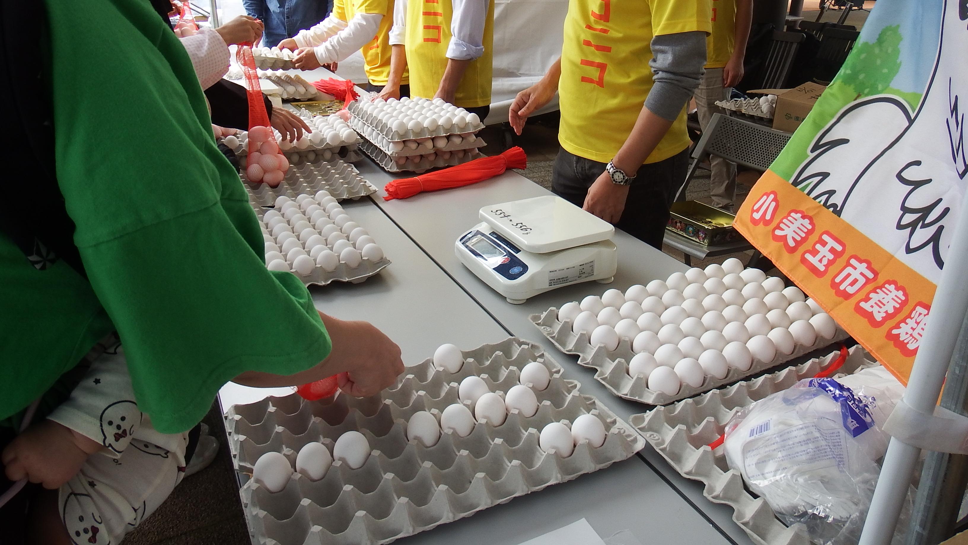 畜産まつり写真1 畜産まつり写真1