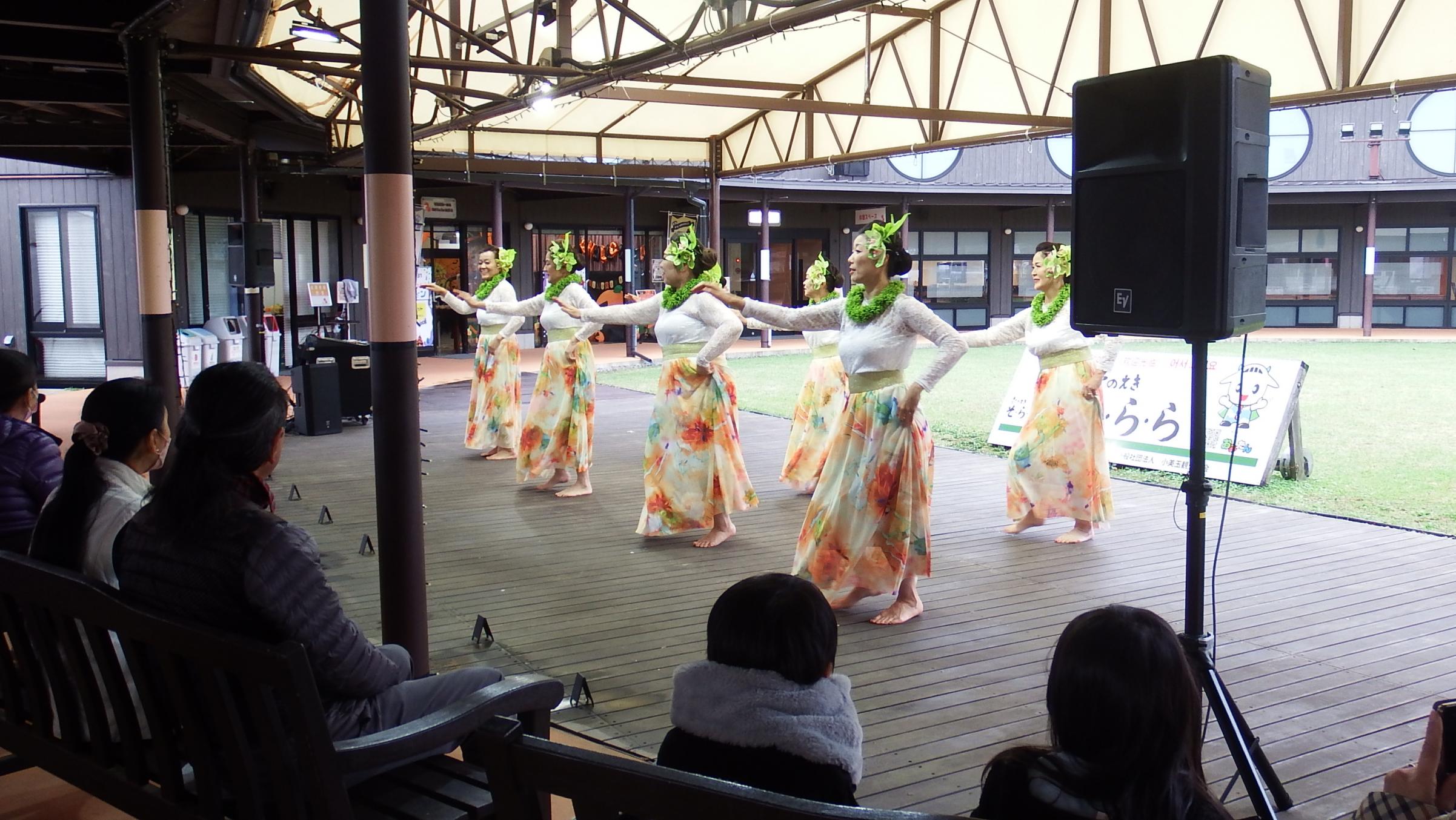 フラ写真2 フラ写真2