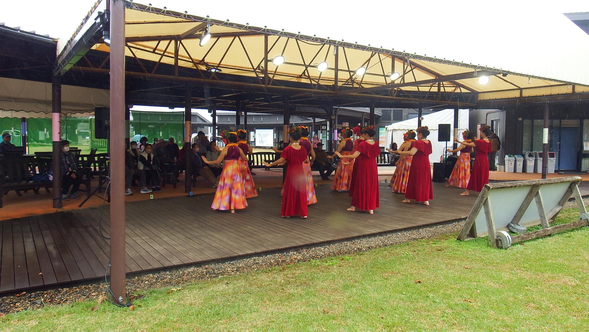 フラ写真8 フラ写真8