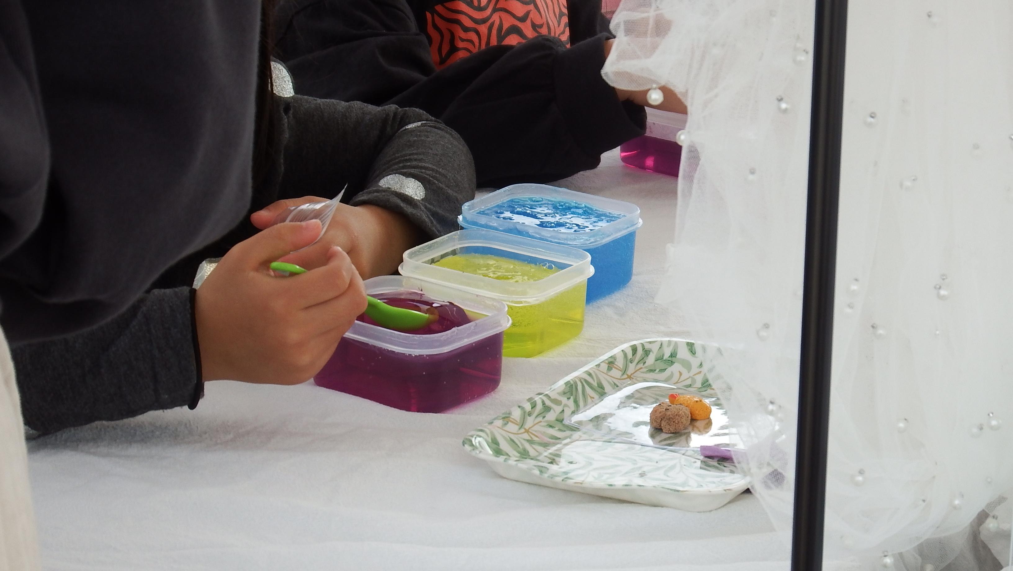 ピピット様写真 ピピット様写真