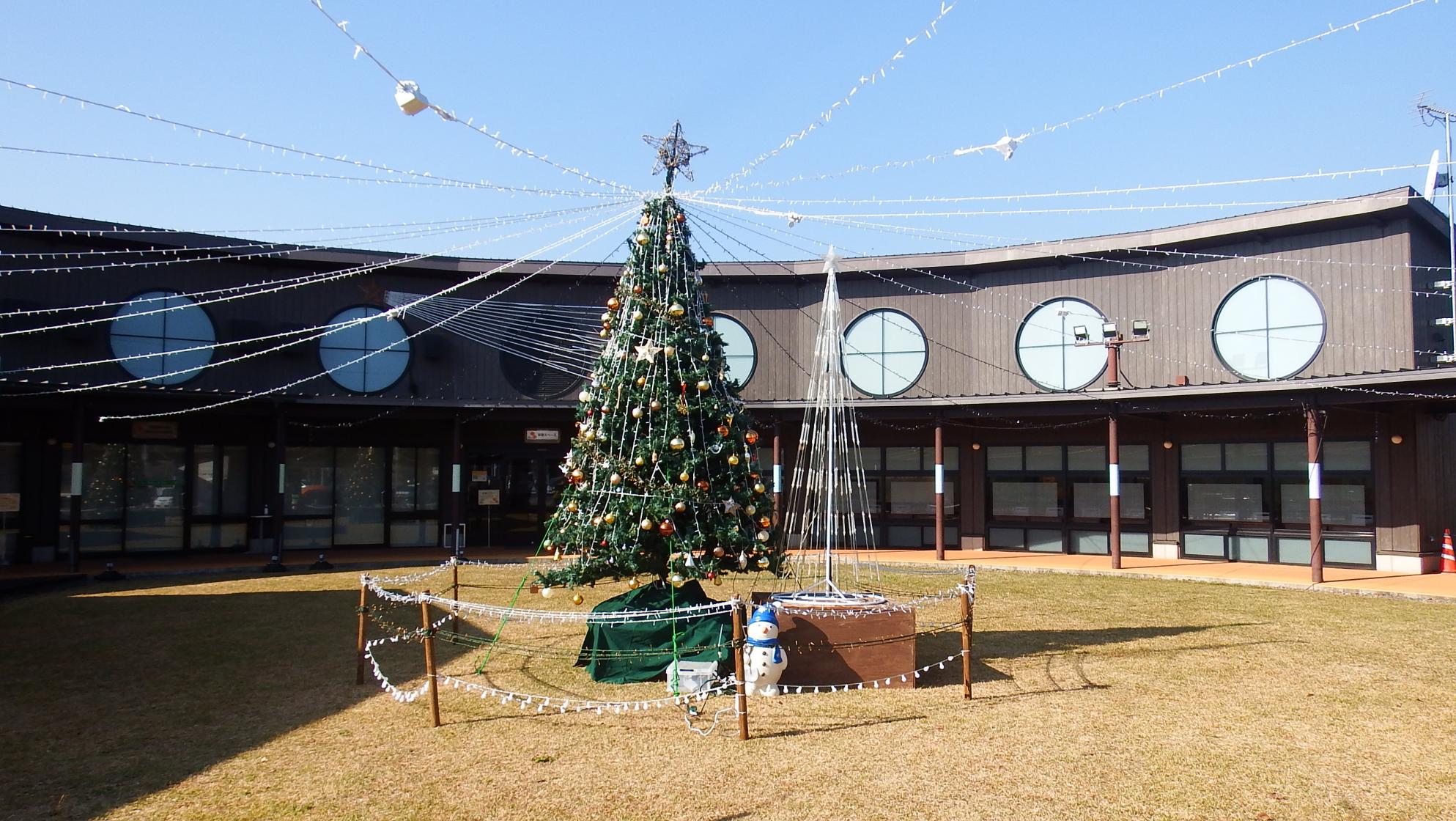 クリスマスツリー写真 クリスマスツリー写真