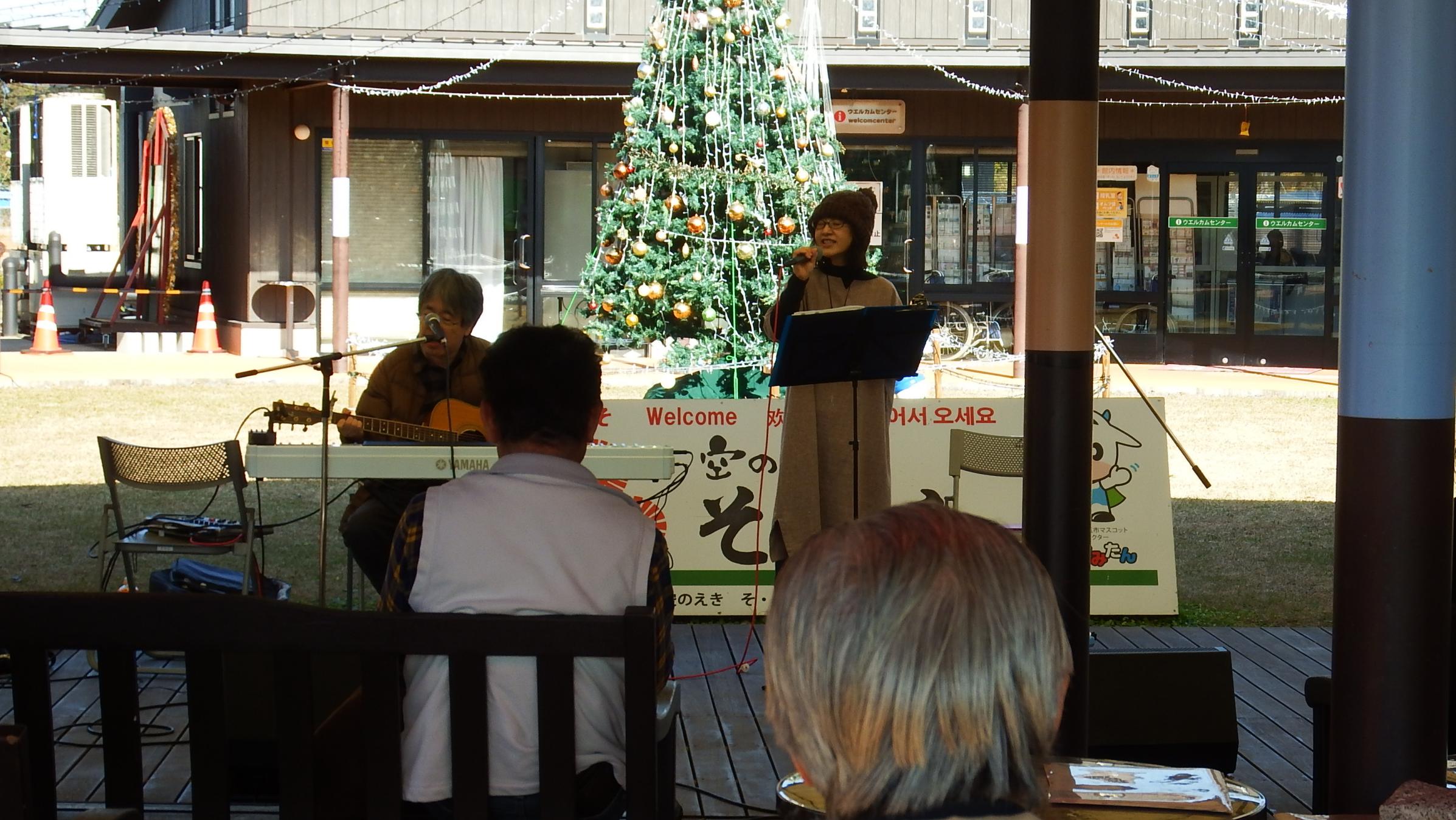 コトン写真1 コトン写真1