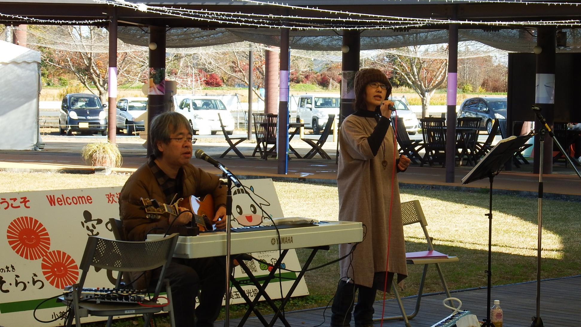 コトン写真2 コトン写真2