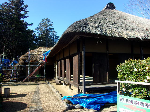 本間玄琢生家 本間玄琢生家