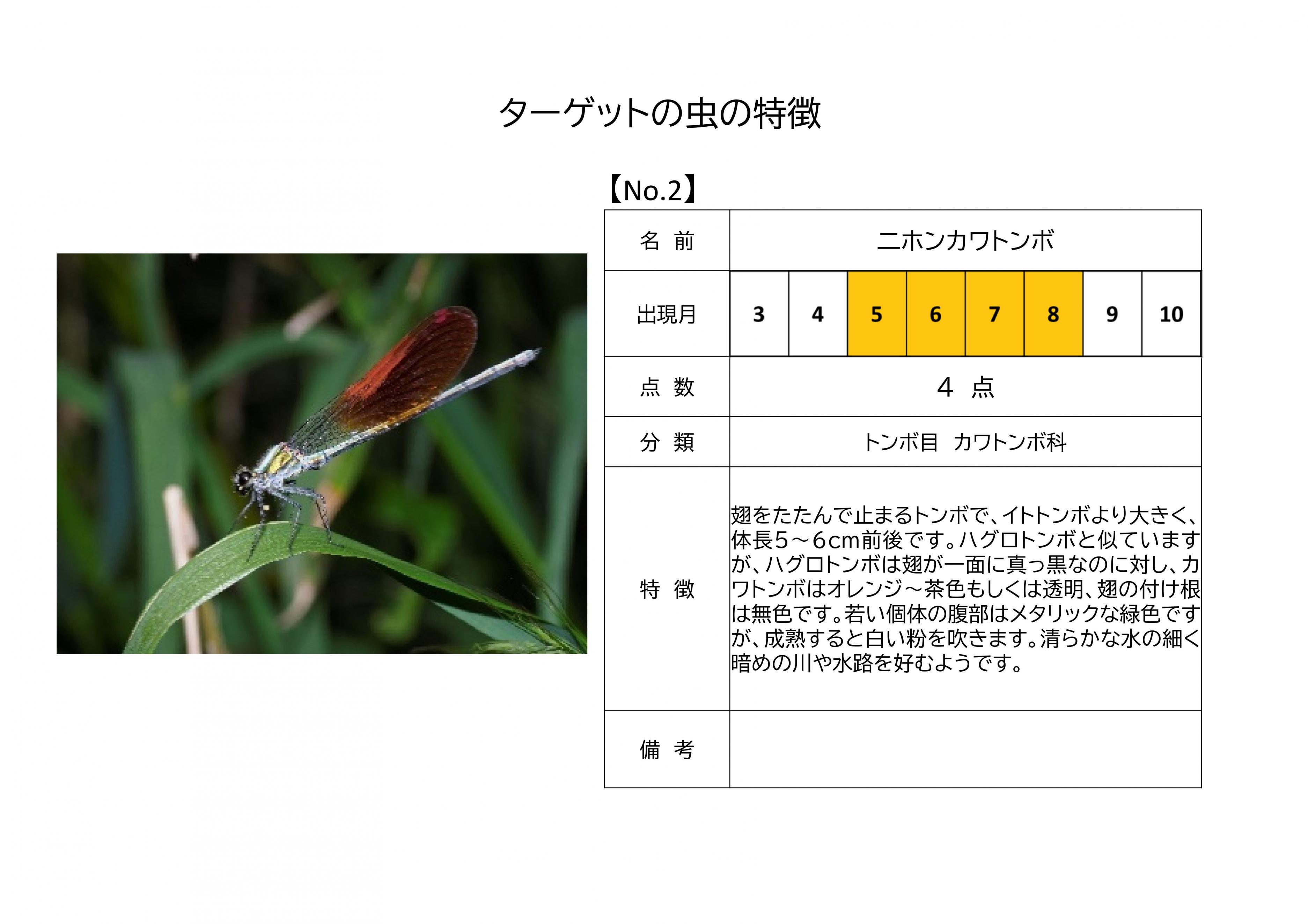 2.二ホンカワトンボ