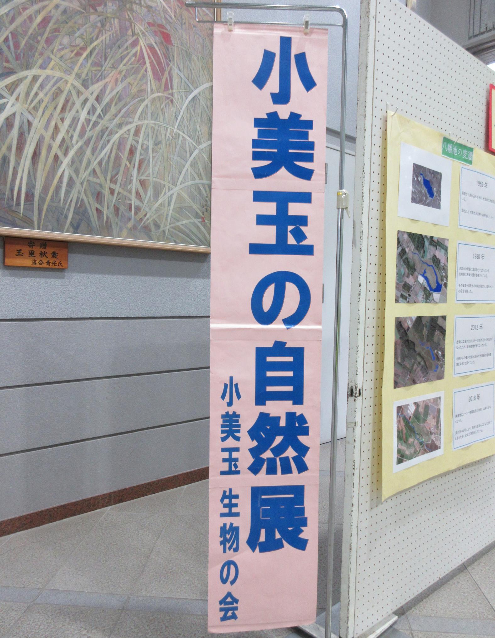 【陽だまりスクエア】八幡池の変遷と貴重な生物 【陽だまりスクエア】八幡池の変遷と貴重な生物