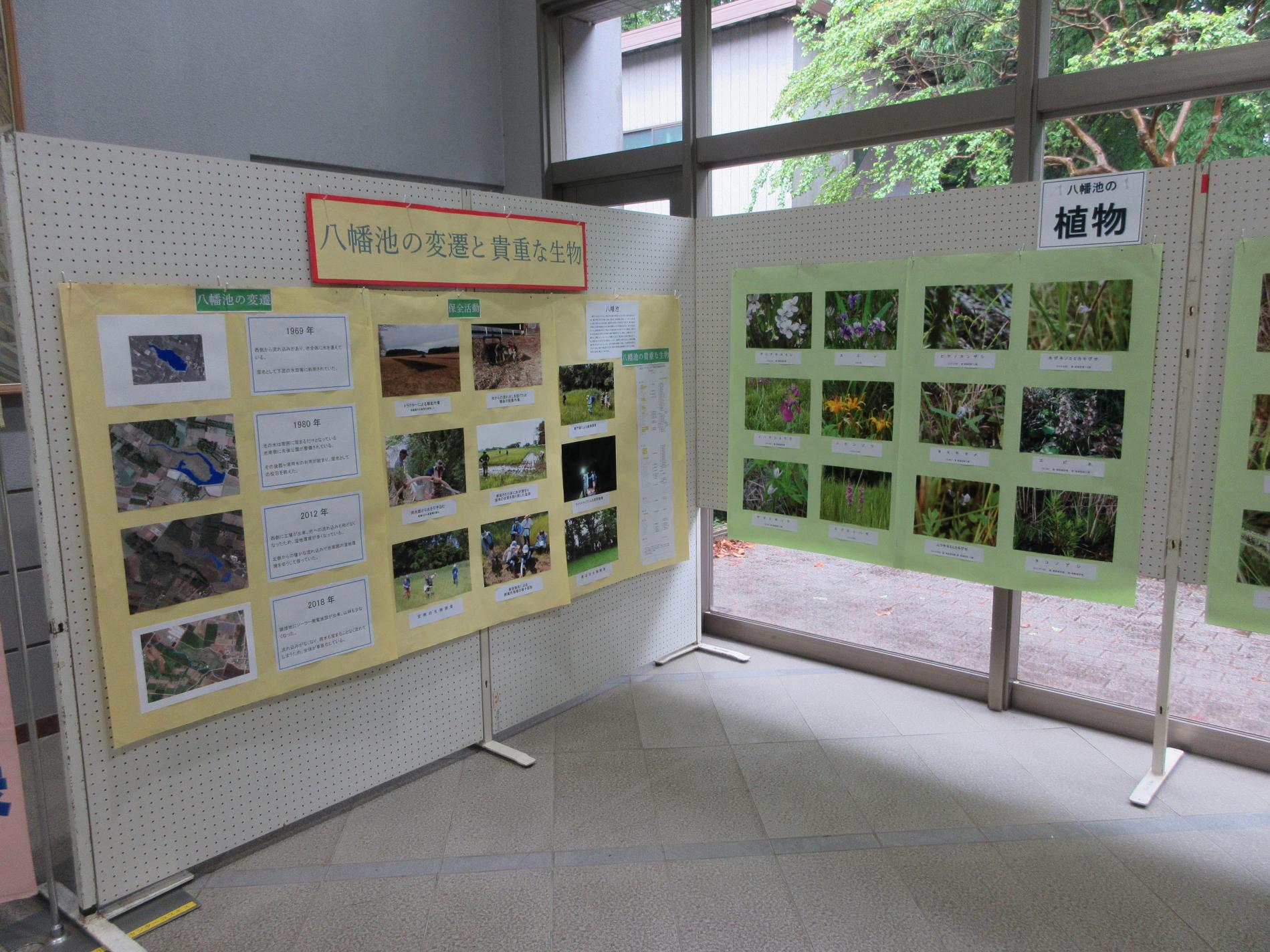 展示の様子 展示の様子