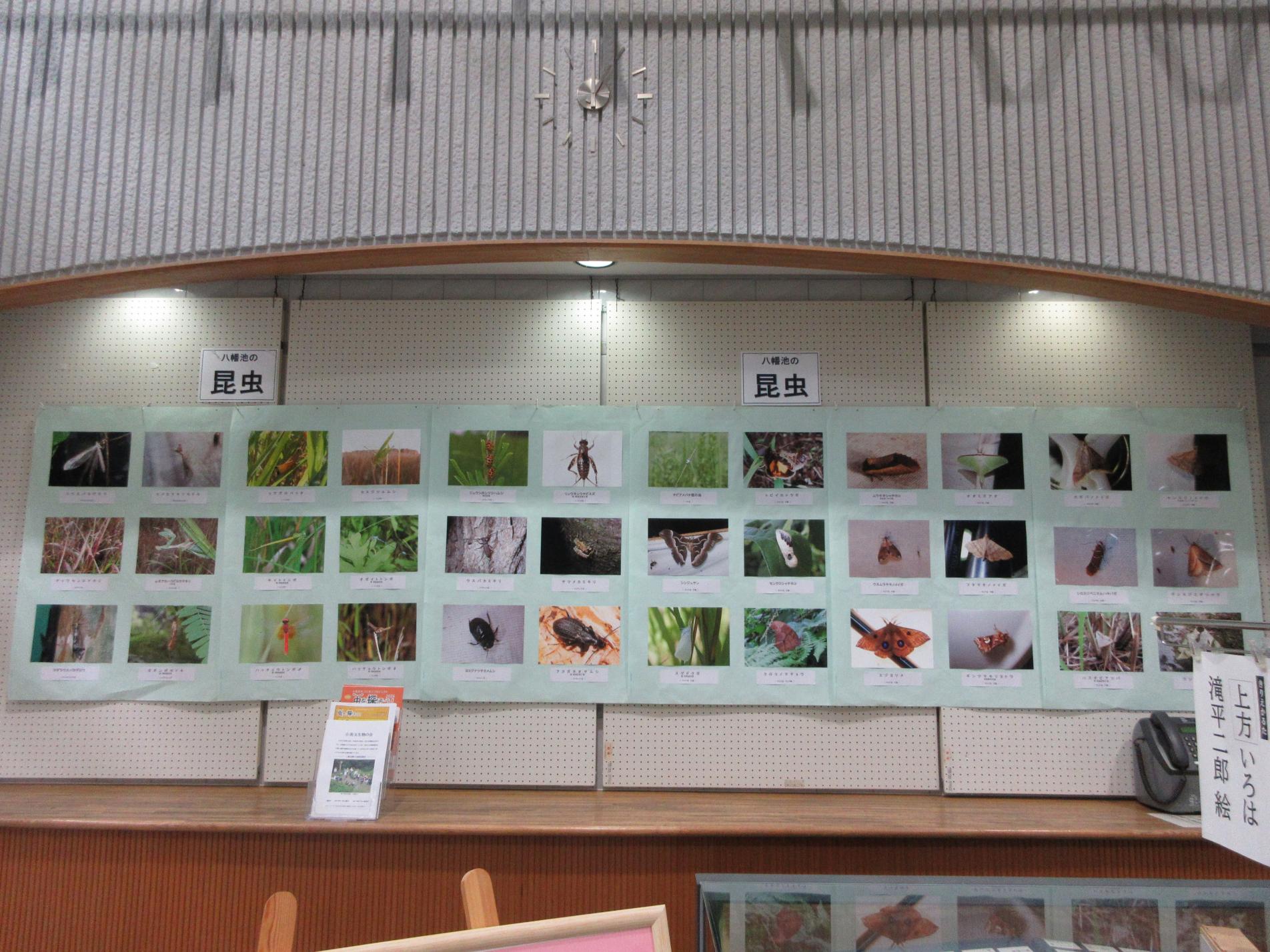 陽だまりスクエアの展示の様子 陽だまりスクエアの展示の様子