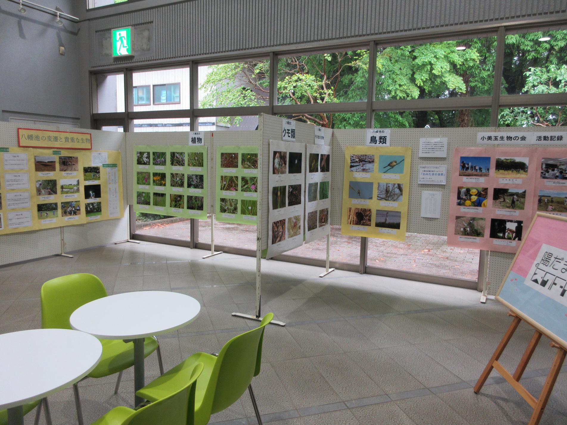 様々な写真の展示 様々な写真の展示