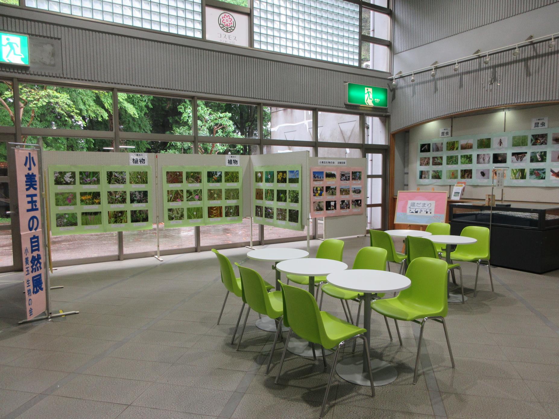 展示ホールの様子 展示ホールの様子