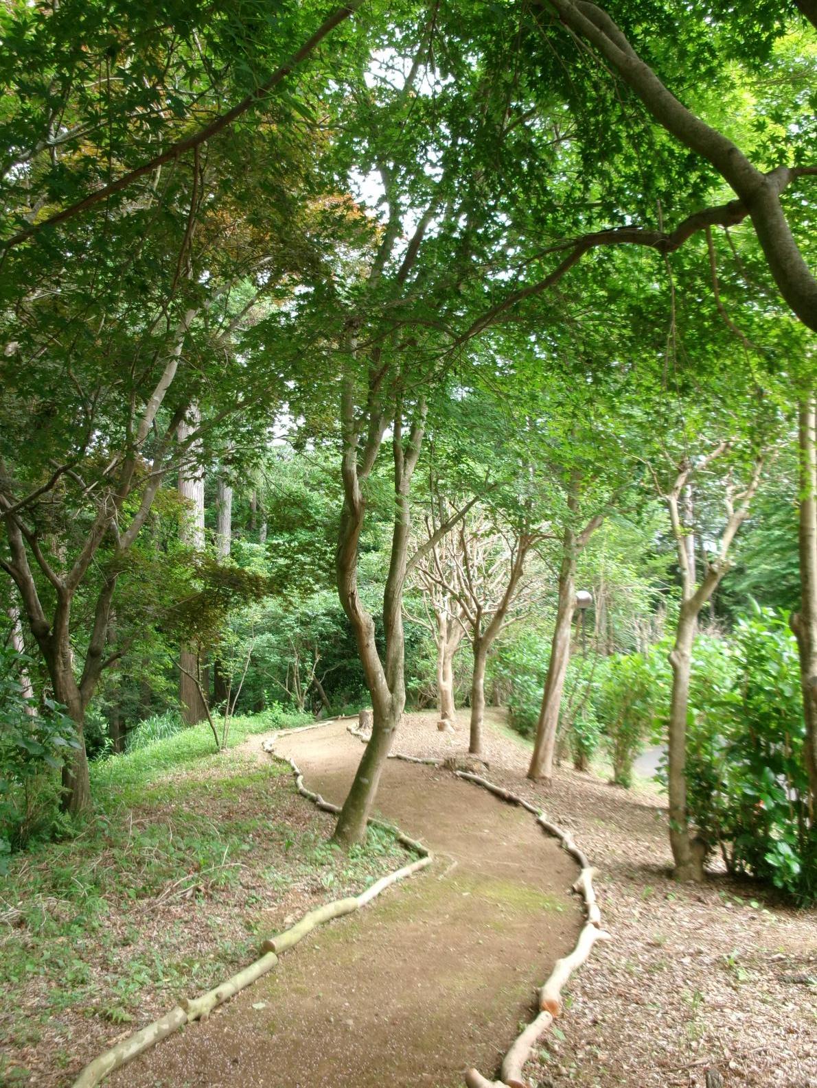事務棟横道