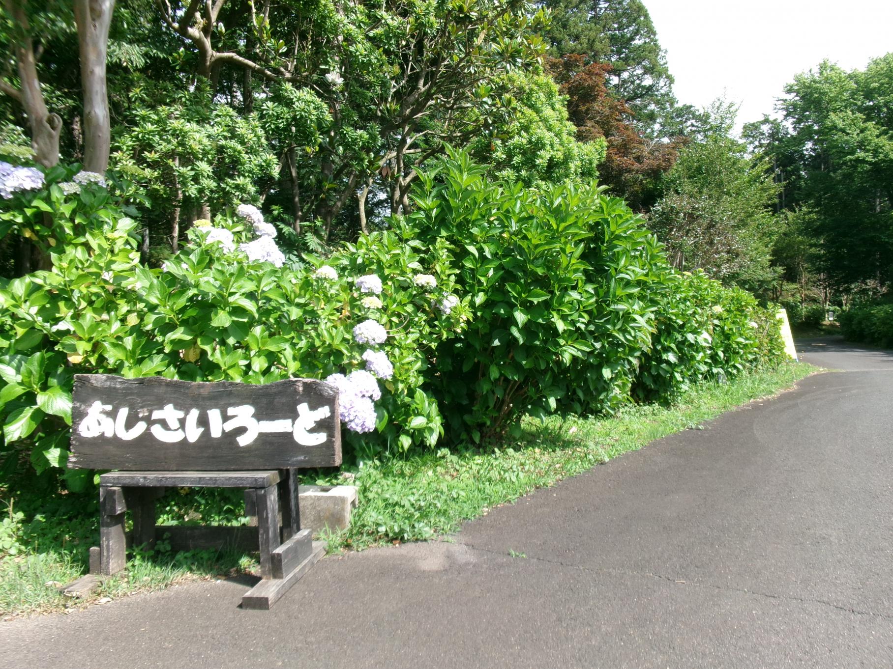 あじさいろーど あじさいろーど