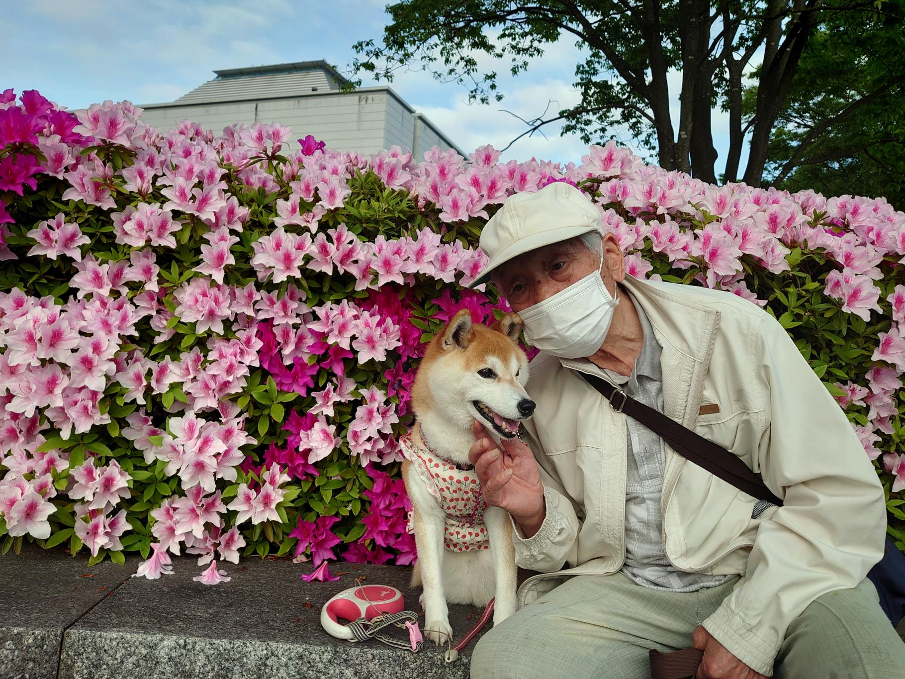 写真 写真