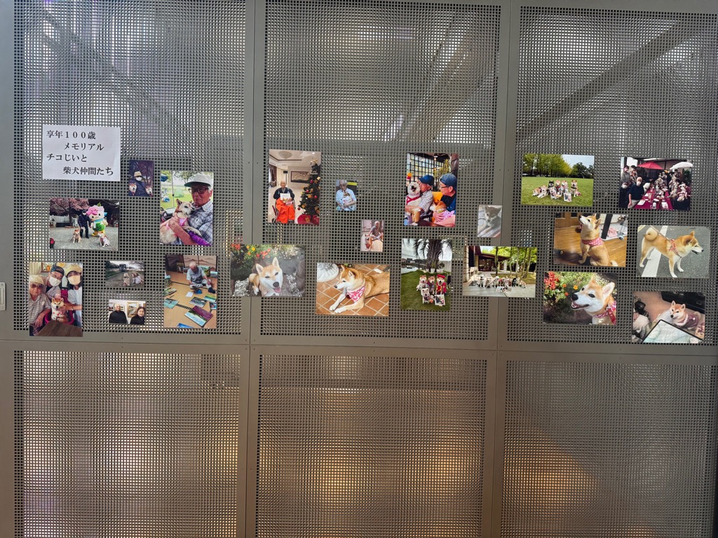 展示の様子4 展示の様子4